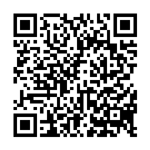 那么他们也要好好的配合王爷和王妃的计划就好了二维码生成