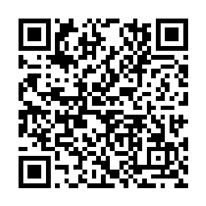 那么他们很快就会被蜂拥而至的豺狼鬣狗撕咬粉碎二维码生成