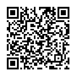 那么他们最多也只能像其他三大龙宫一样统御一海之地二维码生成