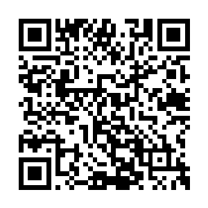 那么他们这些人全部会在这一雷阵之下集体阵亡二维码生成