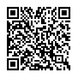 那么他便燃烧体内的那尊还不曾彻底融合的尸骸二维码生成