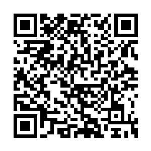 那么他元瞋神王必然会毫不客气的站在吴岩一边二维码生成