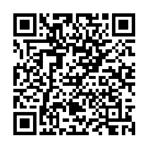 那么他再次修炼回到巅峰状态也是顺理成章的事情二维码生成