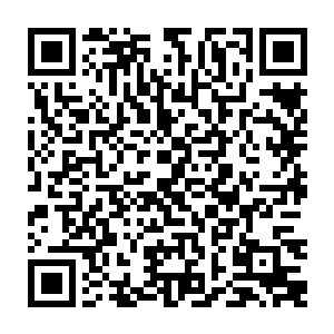 那么他就是秦方手中的一枚核弹……一枚足以灭杀此行任何一个试炼者的核弹二维码生成