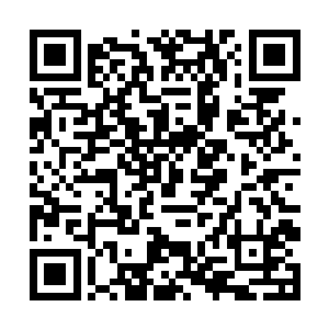 那么他的竞争对手主要还是大圆满准帝中的极限强者二维码生成
