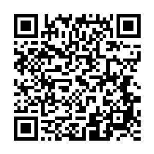 那么你们也可以选择杀了我……你就是地球最后的那个修真者二维码生成