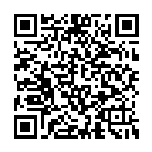 那么你们今晚的目标是――杀掉龙门的老大李刚二维码生成