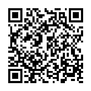 那么你在这里得到了生存的机会……外面世界的那个GM二维码生成