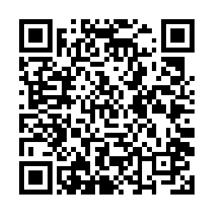 那么你完全可以用仙币雇佣身手强悍的人进行护送啊二维码生成