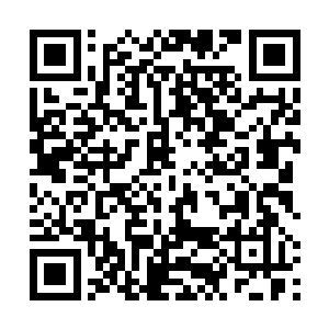 那么你认为这次莱昂内尔会不会重新考虑接班人的问题二维码生成