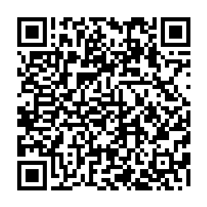 那么便会如同赤焰金龟一样源源不断地吞噬自然界和阳光之中的火系力量二维码生成