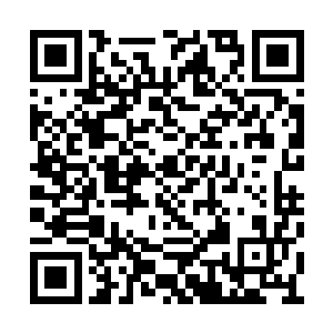 那么修罗神国的典籍中为何有关于阴尸草的记载二维码生成
