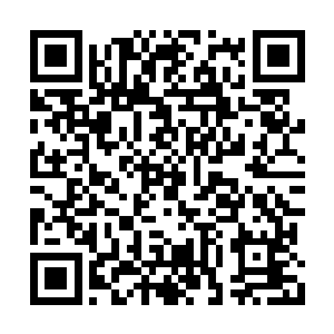 那么其他公司肯定愿意为了和雨果合作而点头的二维码生成