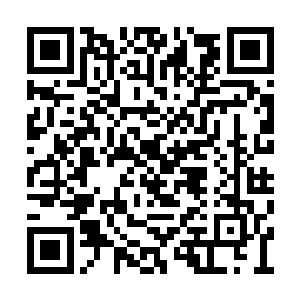 那么其余的那些山峰风格都是属于那种北方园林二维码生成