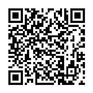 那么其实我也可以跟圣魔女殿下享受平等的待遇呢二维码生成