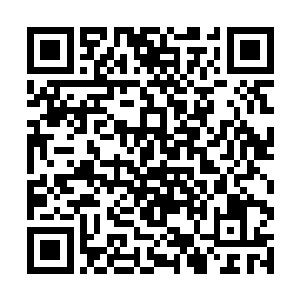 那么凭借这一招他就足以战胜绝大多数的顶级强者了二维码生成