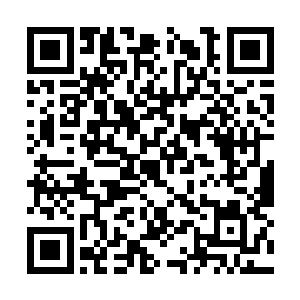 那么刚才这一拳他可是实实在在的用了五成的力道二维码生成