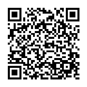 那么前辈您的本尊为什么不亲自将世界之心保存起来二维码生成