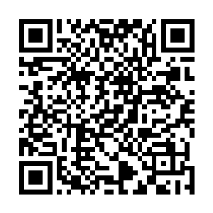 那么双方的力量对比也将会维持在雨果占据优势的格局上二维码生成
