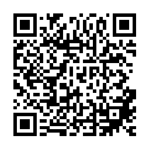 那么发展到最后的理论高度就是星罗大千界最后将会荡然无存二维码生成