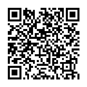 那么另一个问题来了那只小猫咪真的是一只猫吗二维码生成