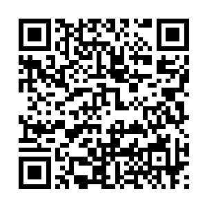 那么叶秋一定会在这个城市建立起属于自己的势力二维码生成