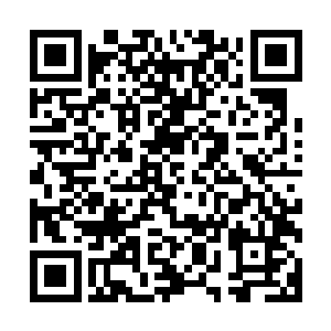 那么和他们同样生活在这片土地上的彘族就算没有见过食人蜂二维码生成