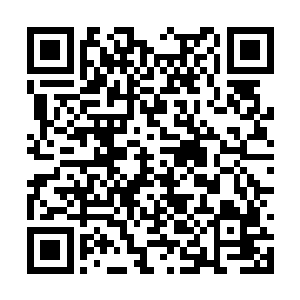 那么唐敏就是凤君泽和唐彦忠安插在他身边的眼线二维码生成