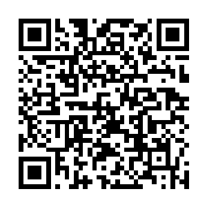 那么啸天雷龙一族已经有资格在龙神界被称为顶尖势力二维码生成