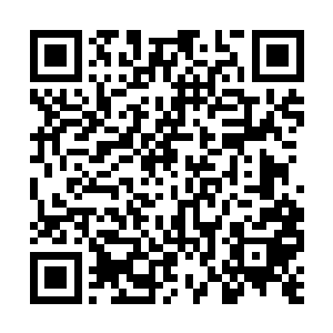 那么嗜血紫袍恐怕逃跑的几率就不到百分之三十了二维码生成