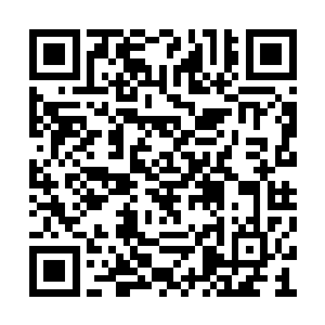 那么在场的九大天尊根本没有机会送宝物来巴结二维码生成