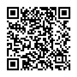 那么在瑞茜事件后我肯定会号召评审团投给珍妮弗二维码生成