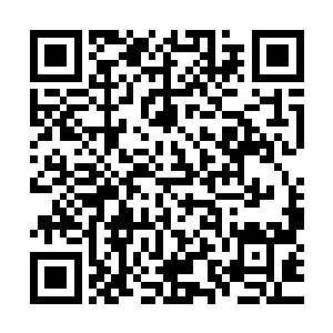 那么在面对双蛇教信徒的时候他就能爆发出25点敏捷的超长速度二维码生成