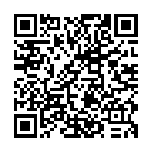 那么塔姆是很难估算这里面的风险程度和所需要付出的代价的二维码生成