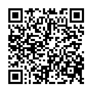 那么夏天是不是就不用再跟他们一起会二段训练了二维码生成