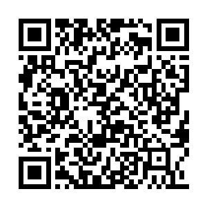 那么大的一棵药材竟然就那样没入极小的药鼎里二维码生成