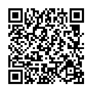 那么天元境后期巅峰之下的任何人进去他的体内二维码生成