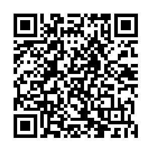 那么奋进精英经纪公司是否会迎来一个更加光明的未来呢二维码生成