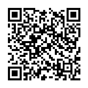 那么她和武处以及失踪的秦凯生都是最大的嫌疑人二维码生成