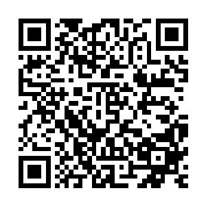 那么她就算对得起那个记忆早就模糊只剩下一个姓氏的丈夫了二维码生成