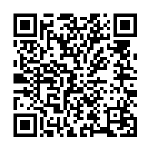那么孤身行走荒郊野外的自己就很有可能被拦下来检查二维码生成