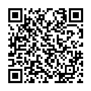 那么将来必然要跟血魔宗的无冕之王的血帝对上的二维码生成