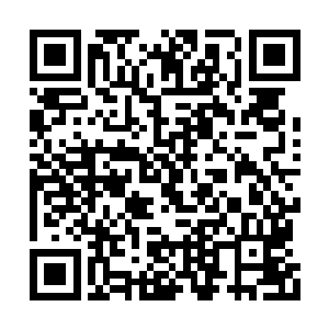 那么就可以证明洪剑门绝对去了一个大气运的人二维码生成