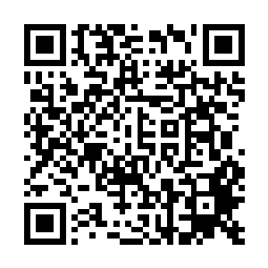 那么就打到他识抬举为止……这一向都是昆哥处事的原则二维码生成