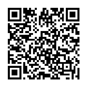 那么就有很大概率闪避掉这个恐怖的以命博命的技能二维码生成