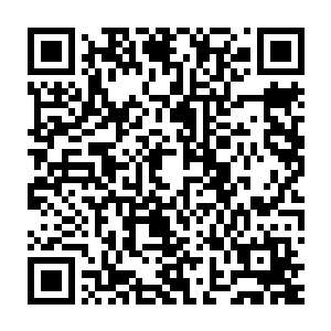 那么就算是变异螳螂王这样的四阶巅峰维危险生物也有可能被一击必杀二维码生成