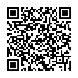 那么就算是在无乱血漠里面厮杀一般也是没人管的二维码生成