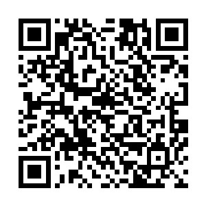那么就算是这里防御设施再怎么森严也不会起到任何的作用二维码生成