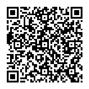 那么就肯定要对自己的安全更加重视一些的……能够让星空巨兽这等圣兽都忌惮的幽灵二维码生成