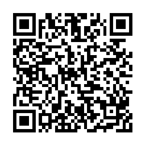 那么巴尔赫完全足以凭借自己的法术将他们消灭二维码生成